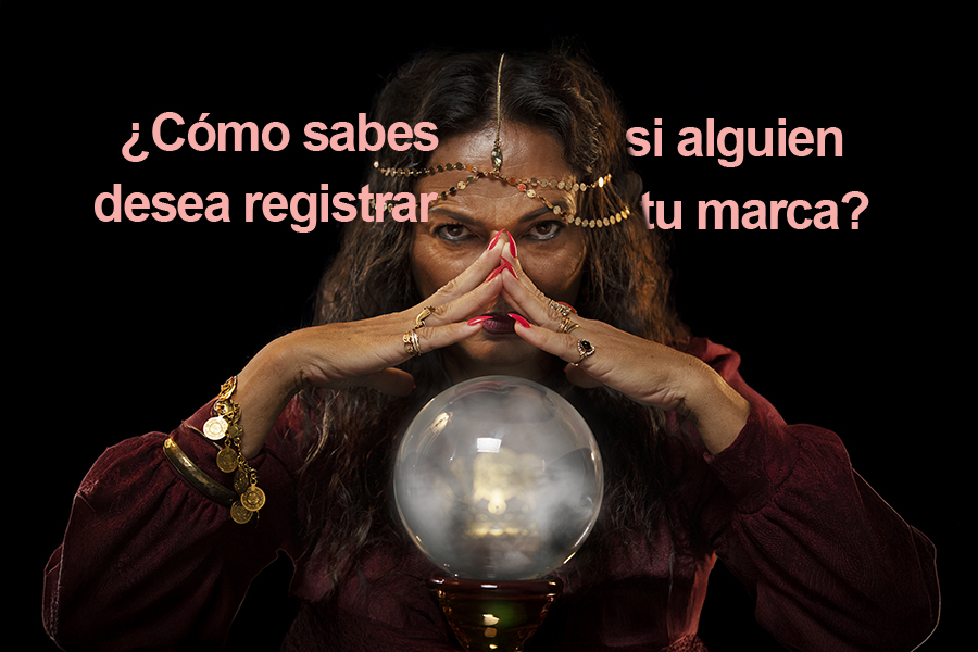 Registra Tu Marca Sin Demora Y No Te Arriesgues A Perderla